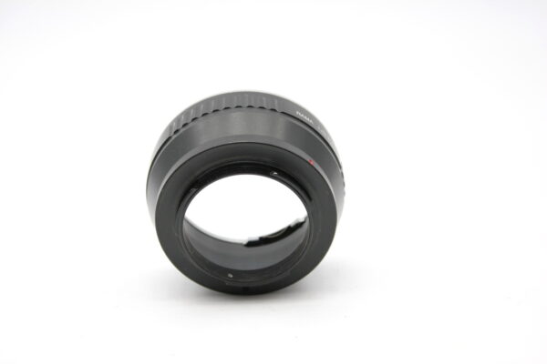 272318-02-RAMA-ANELLO-LR---FX.jpg